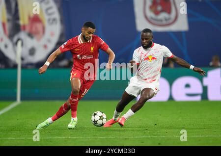 Lutsharel Geertruida du RB Leipzig (à droite) et Cody Gakpo de Liverpool s'affrontent pour le ballon lors du match de groupes de l'UEFA Champions League au RB Arena de Leipzig, en Allemagne. Date de la photo : mercredi 23 octobre 2024. Banque D'Images