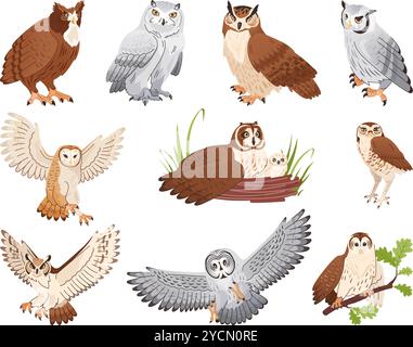 Collection d'oiseaux de hibou des forêts. Chouettes volantes et assises sur les branches d'arbres, animal de proie de nuit brun beau visage d'oiseau intelligent regardant les yeux, petite chouette chouette illustration vectorielle illustration originale Illustration de Vecteur