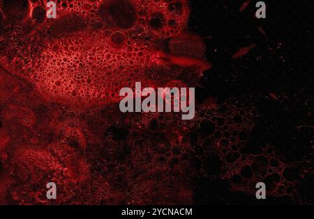 Modèle abstrait rouge foncé, fond décoratif grunge sanglant texturé Banque D'Images