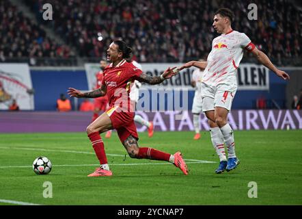 Darwin Nunez de Liverpool (à gauche) et Willi Orban de RB Leipzig s'affrontent pour le ballon lors du match de la phase de groupes de l'UEFA Champions League au RB Arena de Leipzig, en Allemagne. Date de la photo : mercredi 23 octobre 2024. Banque D'Images