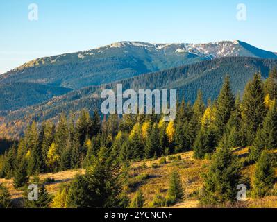 Mountain Vista : une vue imprenable sur les montagnes enneigées et un chemin sinueux à travers un paysage d'automne coloré. Banque D'Images