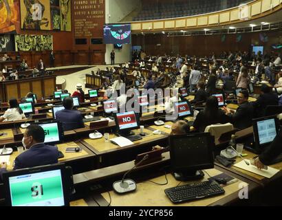 PROCÈS POLITIQUE MINISTRA PALENCIA Quito, mercredi 23 octobre 2024 la Ministre Monica Palencia, en plénière de l'Assemblée nationale, dans son procès politique, soulevée par les députés Paola Cabezas et Leonardo Berrezueta, de Revolucion Ciudadana au Palais législatif photos API Rolando Enriquez Quito Pichincha Ecuador POL PROCÈS POLITIQUE MINISTRE PALENCIA 10f172f64ce187c3afa5dd348ee2222e Copyright : xROLANDOXENRIERIX Banque D'Images