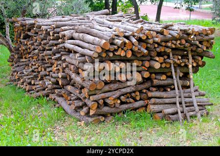 Pile de bois de chauffage Banque D'Images