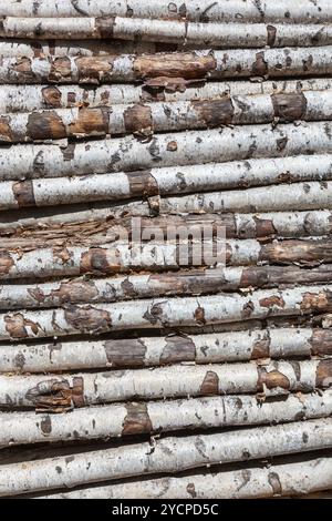 Arrière-plan de l'ancien de grumes de bouleau Banque D'Images