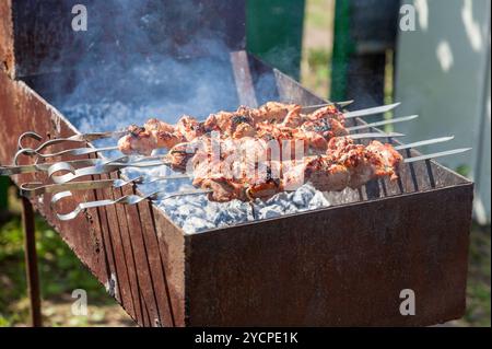 Juteuse tranches de viande en sauce préparer sur charbons ardents Banque D'Images