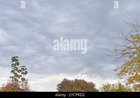 Des nuages de tempête se forment juste avant l'arrivée d'une tempête. Banque D'Images