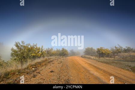 Un épais brouillard hivernal a obscurci la visibilité à travers le paysage rural de l'Outback, puis soudain un arc de brouillard est apparu, se courbant à travers le chemin de terre bordé de f Banque D'Images