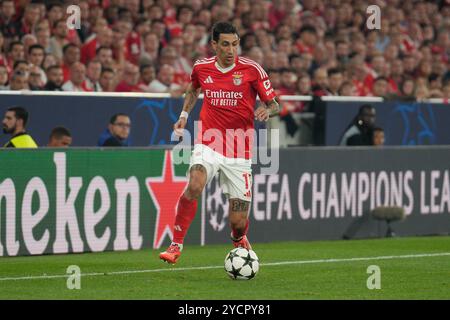 Lisbonne, Portugal. 23 octobre 2024. Angel Di Maria de SL Benfica en action lors de la phase de la Ligue des Champions de l'UEFA Journée 3 entre Benfica et Feyenoord au Estádio da Luz à Lisbonne, Portugal. 10/23/2024 crédit : Brazil photo Press/Alamy Live News Banque D'Images