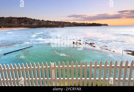 Baignade tôt le matin à Bronte Pool, Australie Banque D'Images