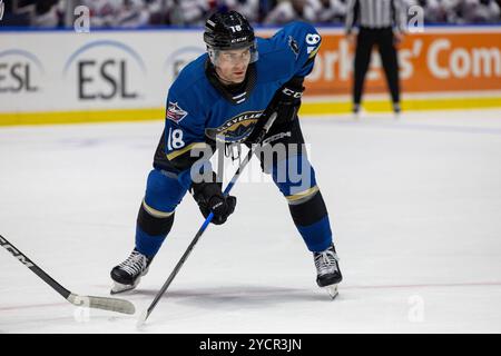 Rochester, New York, États-Unis. 23 octobre 2024. L'attaquant des monstres de Cleveland Dylan Gambrell (18 ans) patine dans un match contre les Américains de Rochester. Les Américains de Rochester ont accueilli les sénateurs de Belleville dans un match de la Ligue américaine de hockey au Blue Cross Arena de Rochester, New York. (Jonathan Tenca/CSM). Crédit : csm/Alamy Live News Banque D'Images