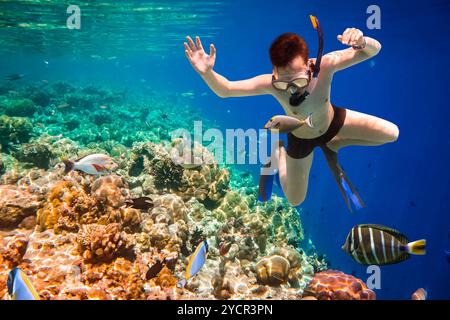 Snorkeler diving le long de la barrière de cerveau. Les récifs coralliens de l'océan Indien aux Maldives. Banque D'Images