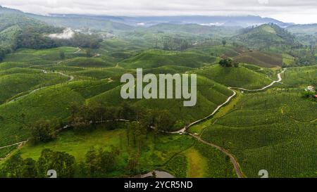 Vue drone de Valparai, Tamilnadu, Inde Banque D'Images