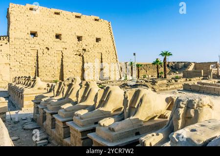 Le temple de Louxor est un grand complexe de temples égyptiens anciens sur la rive est du Nil à Louxor Banque D'Images