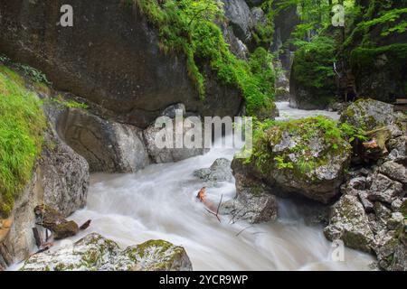 Cours d'eau dans le Seisenbergklamm, Weissbach près de Lofer, Salzbourg, Autriche Banque D'Images