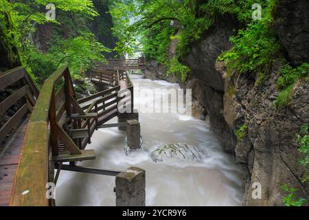 Cours d'eau dans le Seisenbergklamm, Weissbach près de Lofer, Salzbourg, Autriche Banque D'Images