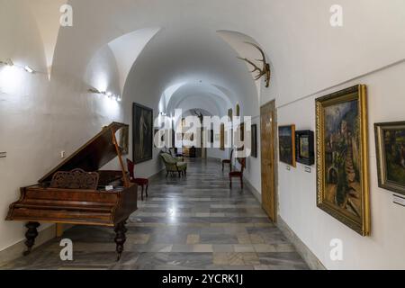 Bojnice, Slovaquie, 26 septembre 2022 : couloir avec peintures et instruments de musique à l'intérieur du musée du château de Bojnice, Europe Banque D'Images