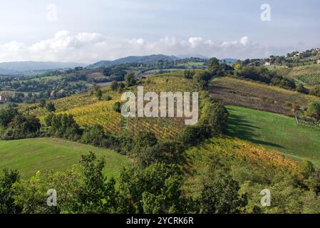 Vue panoramique sur les collines italiennes avec des vignobles près du château de Torrechiara, Parme. Italie. Banque D'Images