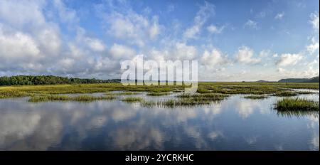 Un paysage panoramique de lits de marée et de marais à Pawleys Island en Caroline du Sud Banque D'Images