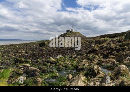 Vue sur le phare de Mumbles dans la baie de Swansea à marée basse avec algues et rochers au premier plan Banque D'Images