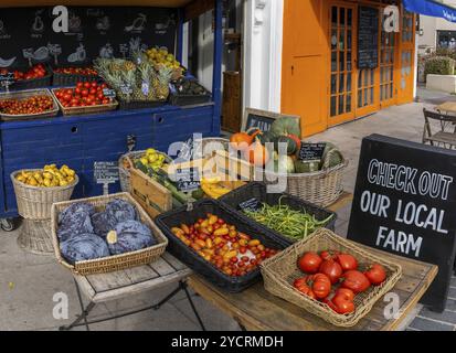 Greystones, Irlande, 18 août 2022 : vue rapprochée d'un étalage de fruits et légumes dans un magasin d'aliments entiers et biologiques à Greystones, en Europe Banque D'Images