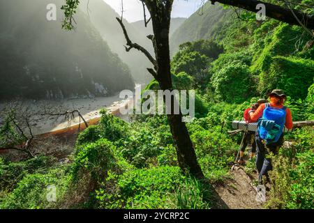 Groupe de personnes descendant le sentier Otter jusqu'à la rivière Lottering, Otter Trail, section Tsitsikamma, Parc national Garden route, Eastern Cape, South A Banque D'Images
