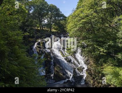 Vue sur la chute d'eau de Swallow Falls à Anglesey, dans le nord du pays de Galles, entourée d'une végétation d'été verdoyante Banque D'Images