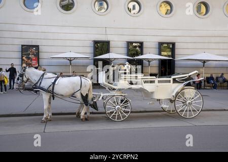 Vienne, Autriche, le 22 septembre 2022 : sortie de l'école espagnole d'équitation à Vienne, en Europe Banque D'Images