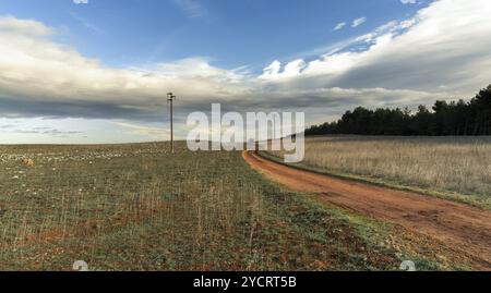 Un chemin de terre rouge menant à travers les champs de calcaire stériles du parc Naitonal de l'Alta murgia dans le sud de l'Italie Banque D'Images