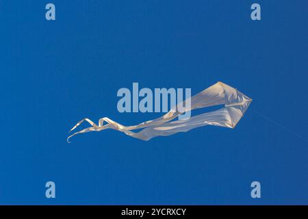 White le cerf-volant dans le ciel bleu Banque D'Images