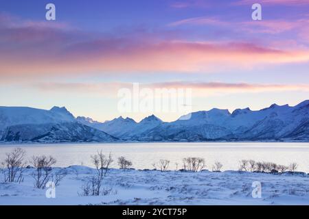 Gimsoystraumen au lever du soleil, hiver, Lofoten, Norvège Banque D'Images