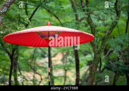 Parapluie japonais rouge en vert frais Banque D'Images