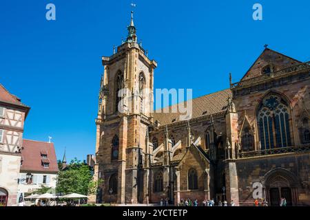 Martin's Cathédrale, Colmar, Alsace, Bas-Rhin, France Banque D'Images