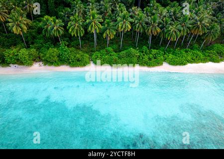 Vue aérienne d'une belle plage isolée de sable blanc avec des palmiers et une végétation luxuriante en arrière-plan sur l'île de Labengki à sulawesi, inndonesia Banque D'Images