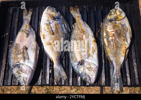 Poissons de mer dorade sur grill Banque D'Images