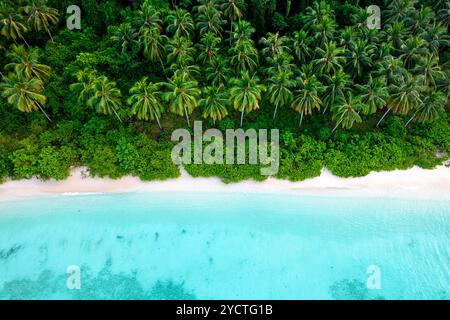 Une belle plage tropicale vide avec du sable blanc, de l'eau cristalline et des palmiers denses de la jungle. Îles Labenki, Sulawesi, Indonésie, Asie Banque D'Images