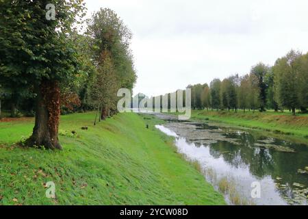 les petits douves d'eau en france Banque D'Images