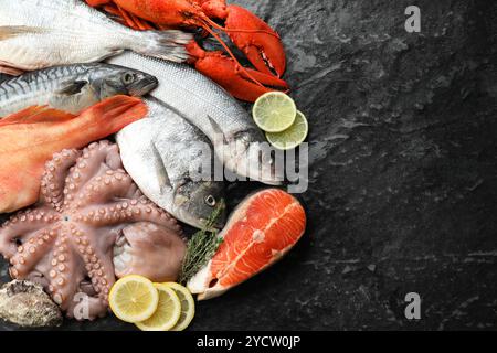 Poulpe crue fraîche, poisson et autres fruits de mer sur la table noire, vue de dessus. Espace pour le texte Banque D'Images