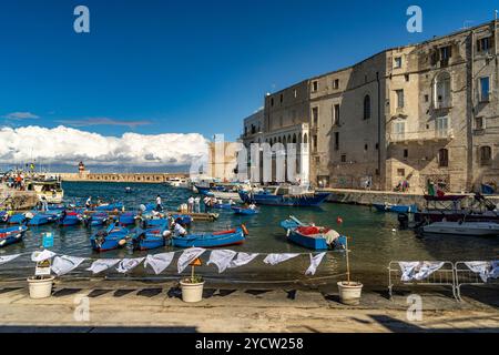 Blaue Fischerboote Gozzi im Alten Hafen von Monopoli, Apulien, Italien, Europa | bateaux de pêche bleus Gozzi au vieux port de Monopoli, Pouilles, Italie, Banque D'Images