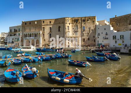 Alter Hafen Monopoli Blaue Fischerboote Gozzi im Alten Hafen von Monopoli, Apulien, Italien, Europa Blue bateaux de pêche Gozzi au vieux port de Monopo Banque D'Images