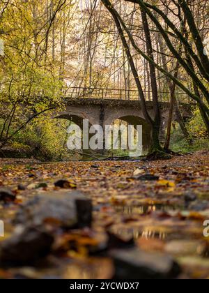 vieux pont ferroviaire dans la forêt d'automne Banque D'Images