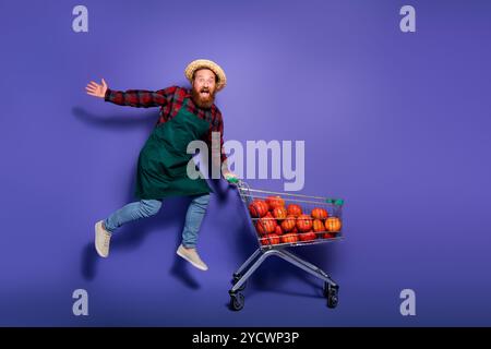 Photo du fermier fou d'homme barbu tenir chariot courant le marché d'épicerie saisonnier de vente de shopping isolé sur fond de couleur pourpre Banque D'Images