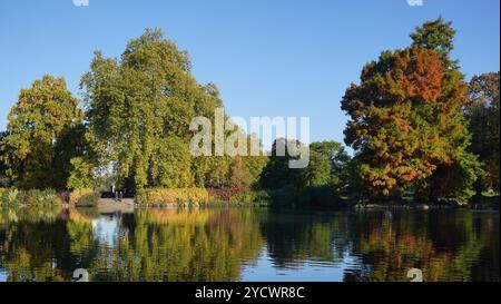 Les bénévoles de Kew Gardens à Londres admirent le feuillage d'automne reflété dans l'étang de palmiers à la fin de la promenade. Date de la photo : jeudi 24 octobre 2024. Banque D'Images