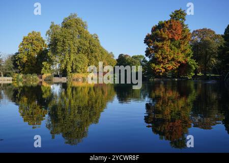 Les bénévoles de Kew Gardens à Londres admirent le feuillage d'automne reflété dans l'étang de palmiers à la fin de la promenade. Date de la photo : jeudi 24 octobre 2024. Banque D'Images