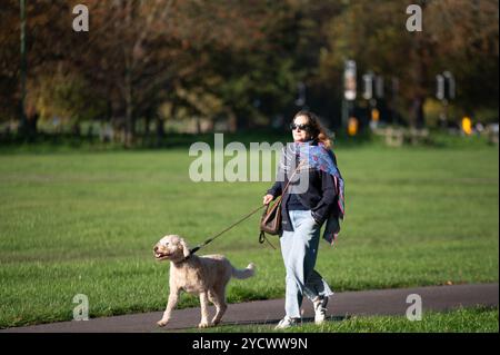 Cambridge, Royaume-Uni. 24 octobre 2024. Une femme promène son chien sous le soleil du matin à Cambridge. Le met Office a prévu une journée sèche et surtout ensoleillée avec des températures douces et des vents bleus occasionnels dans l'est de l'Angleterre. Crédit : David Tramontan / Alamy Live News Banque D'Images