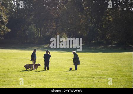 Cambridge, Royaume-Uni. 24 octobre 2024. Les membres du public promènent leurs chiens dans le parc de Cambridge. Le met Office a prévu une journée sèche et surtout ensoleillée avec des températures douces et des vents bleus occasionnels dans l'est de l'Angleterre. Crédit : David Tramontan / Alamy Live News Banque D'Images