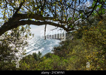 Vue sur le village de pêcheurs de Vitt au cap Arkona sur le littoral de la mer Baltique paysage de Rügen Banque D'Images