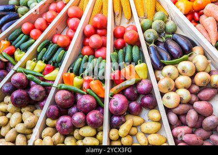 L'agriculture divers légumes frais colorés récoltés au marché fermier Banque D'Images