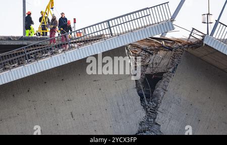 Dresde, Allemagne. 24 octobre 2024. Des experts travaillent sur la travée effondrée du pont Carola. La travée du pont ouest avec des voies de tramway, une piste cyclable et un sentier pédestre s'est effondrée dans la nuit du 11 septembre 2024 pour des raisons encore inconnues. Crédit : Robert Michael/dpa/Alamy Live News Banque D'Images