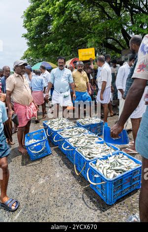 L'ancien port maritime de Tyndis est identifié à Kadalundi - région de Chaliyam Beypore. Village de pêcheurs de Chaliyam. Banque D'Images