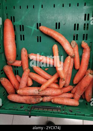 Une collection de carottes pourries affichant de la moisissure à l'intérieur d'une boîte de fruits et légumes verts dans un supermarché, mettant en évidence les effets d'un entreposage inapproprié au début Banque D'Images